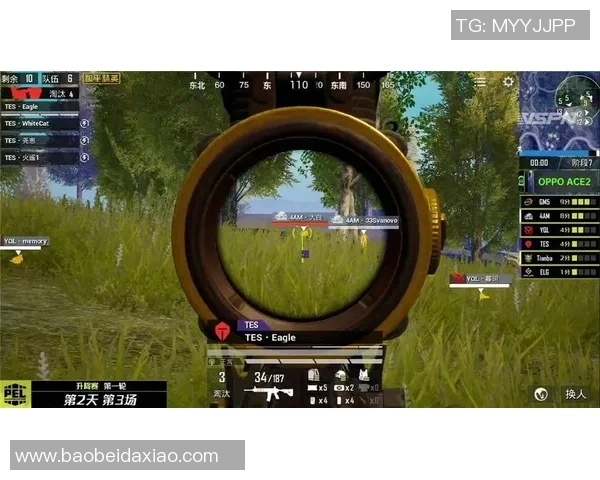 和平精英巨献：深入解析FPX战队的比赛策略与经验分享MBA