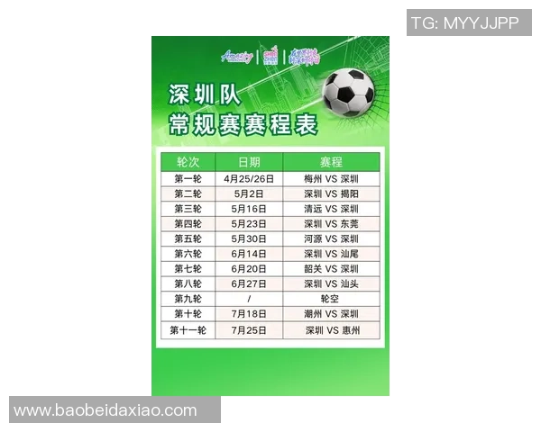 深圳足球队实力强劲荣登全国足球力量排行榜第六名